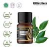 5ML GS 